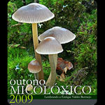 A Cantarela otono micologico 2009