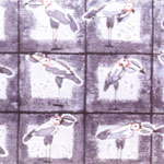 VIII Bienal Internacional de Gravado de Caixanova