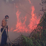 Conferencia El impacto de los incendios forestales en el medio ambiente