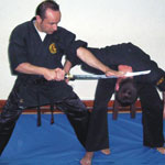 Exhibicion de Artes Marciales Tradicionales Japonesas