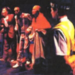 Paso de Cebra
