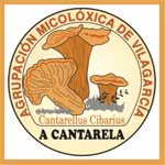 Otono micologico A Cantarela