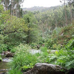 Aula de Naturaleza para ninos