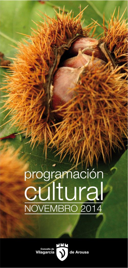 Programacion cultural del mes de noviembre