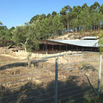 Importante hallazgo arqueologico en Vilagarcia